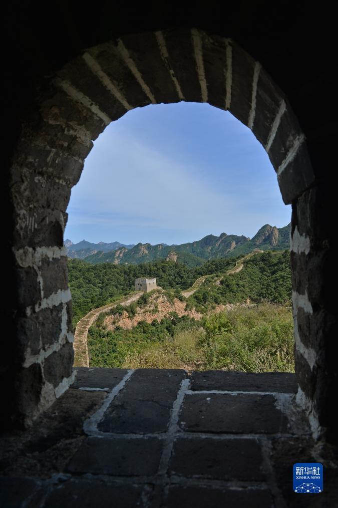 浩号注册